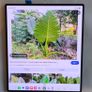 Samsung Galaxy Fold 6 Image 3