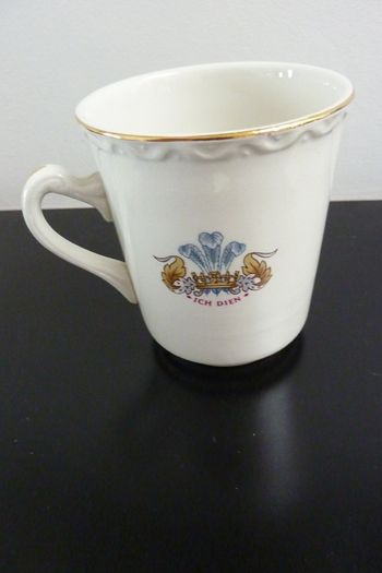 Royal Wedding Mug Charles and Diana 1981