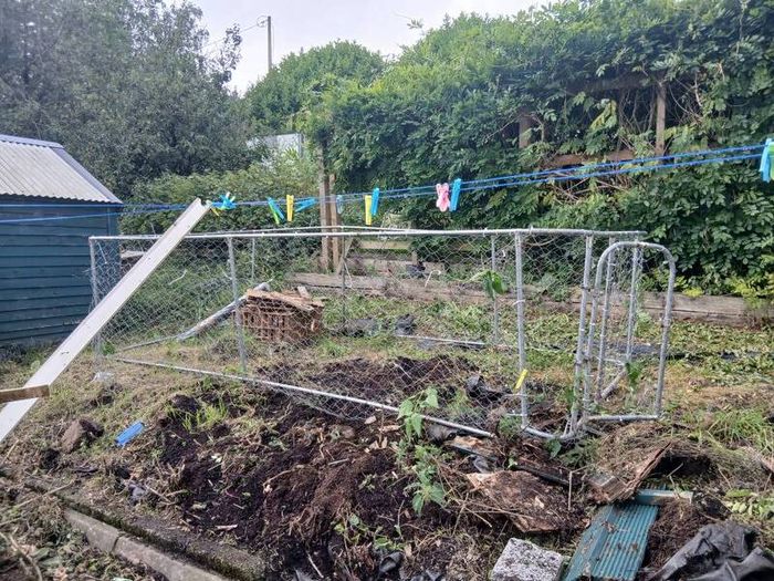 dog/ chicken  run