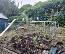 dog/ chicken  run