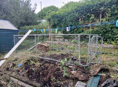 dog/ chicken  run