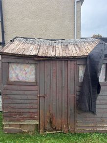 timber / wood / old shed