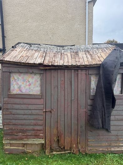 timber / wood / old shed