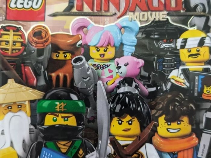 Lego N POP GIRL Minifigure Lego Ninjago Lego Minifigure
