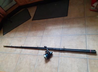 fishing rod and reel