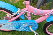kids bike 14