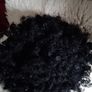 Wigs Image 5
