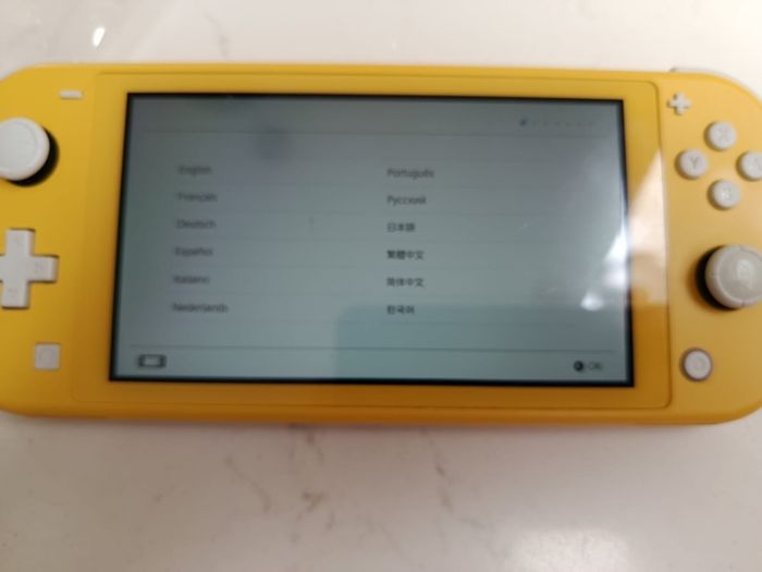 Nintendo switch lite