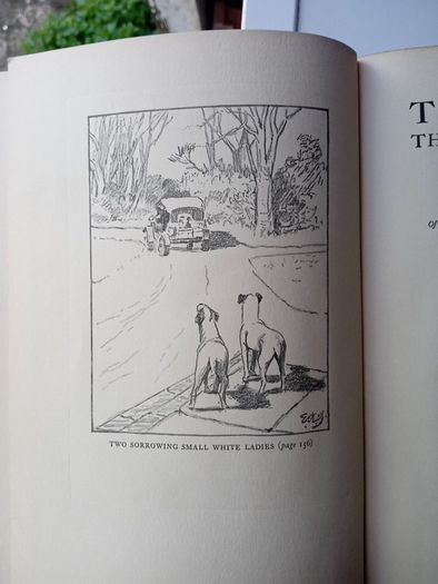The States through Irish Eyes by Edith Somerville