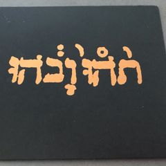 Godspeed You! Black Emperor |  New Riot For New Zero Kanada  E.P.        CD