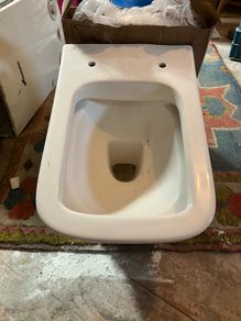 toilet bowl and seat