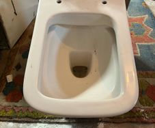 toilet bowl and seat