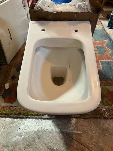 toilet bowl and seat