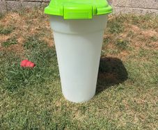 dog food storage