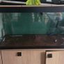 fish tank Image 3
