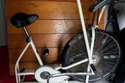 assault bike schwinn AD4 vintage