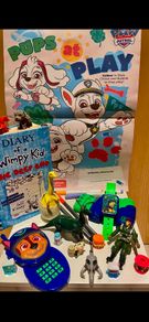 Paw Patrol Brand New Job Lot Bundle