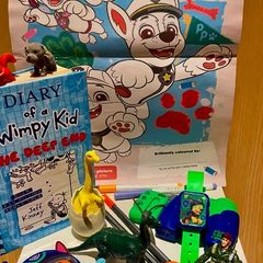 Paw Patrol Brand New Job Lot Bundle