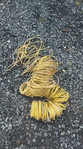 Earth Wire