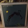 Steve Winwood lps Image 3