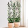 Garden Trellis for Climbing Plants, 87 x 20 in, 4 Packs Rustproof Metal Garden Flower Trellis, Outdoor Climbing Rose Trellis Cucumbers Support, Decorative Clematis Trellis for Courtyards Lawns Image 7