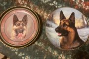 Dog plates free postage