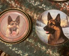 Dog plates free postage