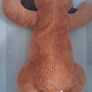 Floppy Dog Soft toy Image 4