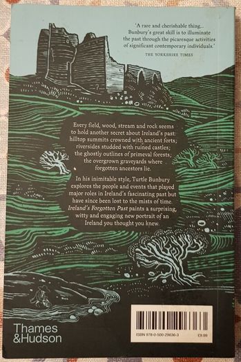 Ireland's Forgotten Past: A History Of The Overlooked & Disremembered by Turtle Bunbury