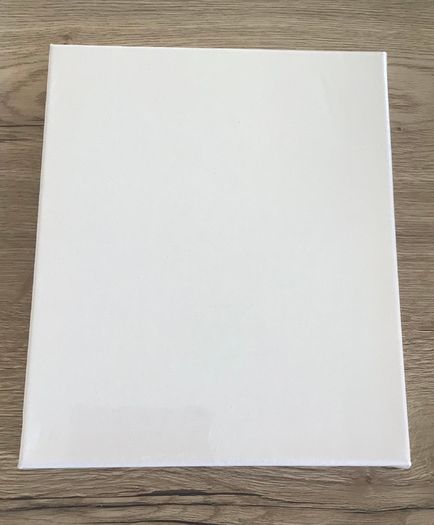 Bundle of 3 Brand New Canvases