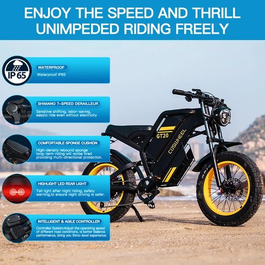 Coswheel GT20 Electric Bike