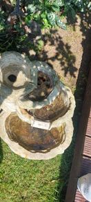 Water Feature