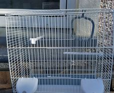 New Voltrega Galileo Bird Cage