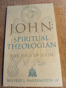 1st Edition 1999 John, Spiritual Theologian The Jesus of John. Religious. Vintage.