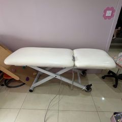 electric beauty bed