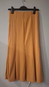 Zara Midi Skirt