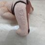 Bad Taste Bear Image 5