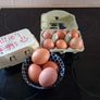 Free range eggs Image 5