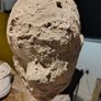 art studio bust Image 6