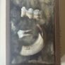 1 Rare Wild Boar Fossil Tooth Set Image 2