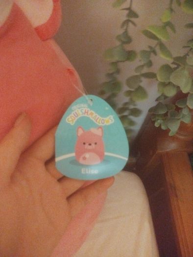squishmallow
