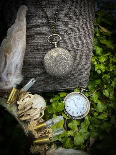 Mushroom Pocket Watch on Long Brass Chain Wonderland Fantasy White Rabbit