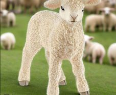 Schleich Lamb Animal Figure