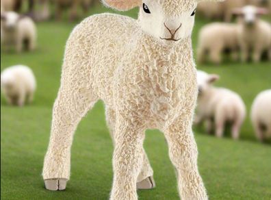 Schleich Lamb Animal Figure