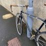 Fuji Feather size M/L Image 2