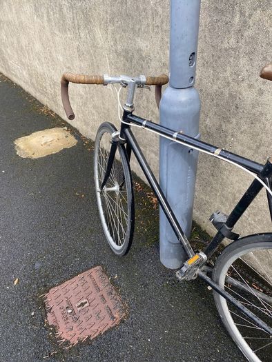 Fuji Feather size M/L