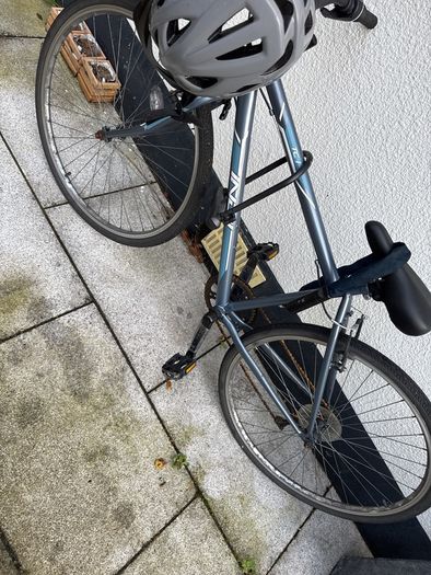 Adult bike