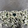 wedding flowers Image 10