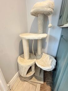 cat tree