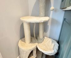 cat tree